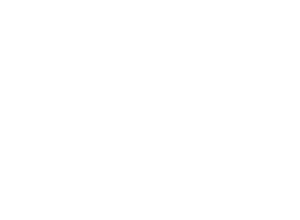 Dodge Dodge