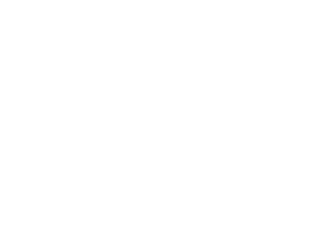 Shelby Shelby
