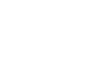 Ford Ford