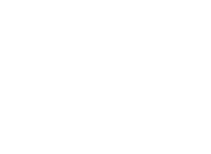 Tesla Tesla