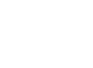 Corvette