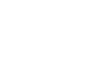 Militem