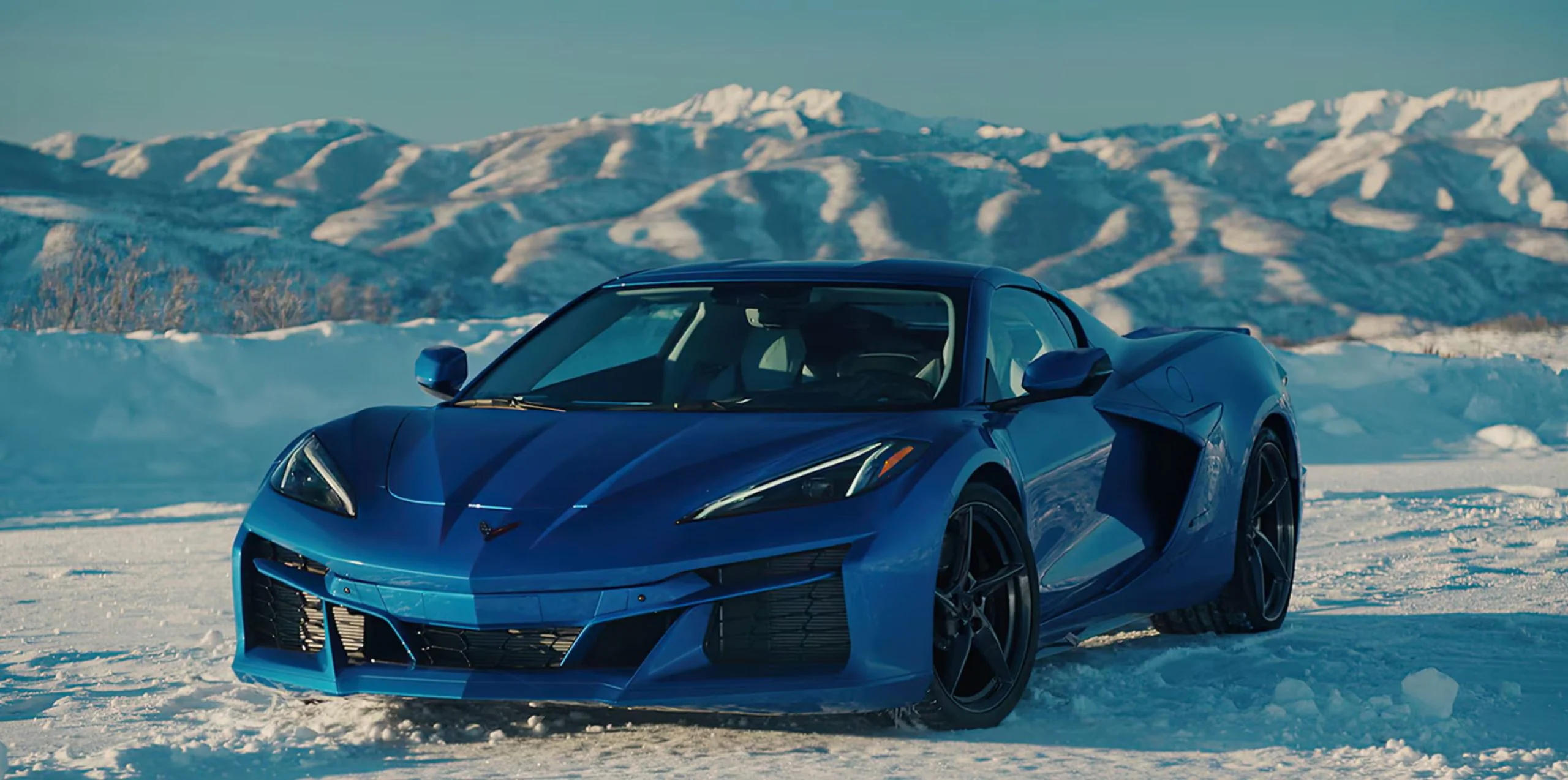 Cavauto American Division